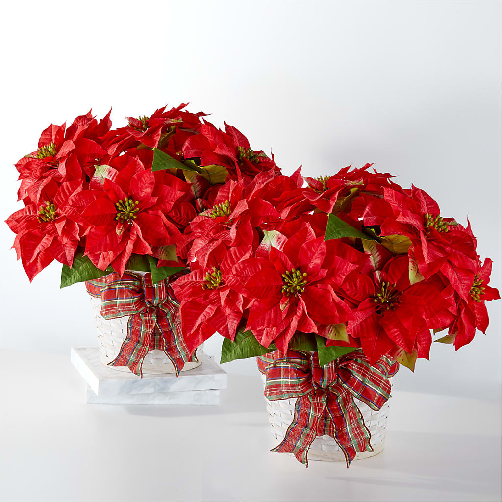 Happiest Holidays Poinsettia Bundle – The Flower Garden, Nettleton MS