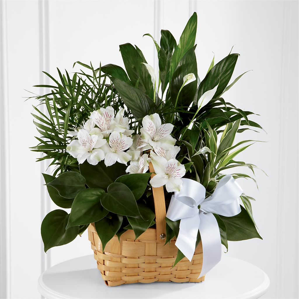 Peace & Serenity Dishgarden – The Flower Garden, Nettleton MS