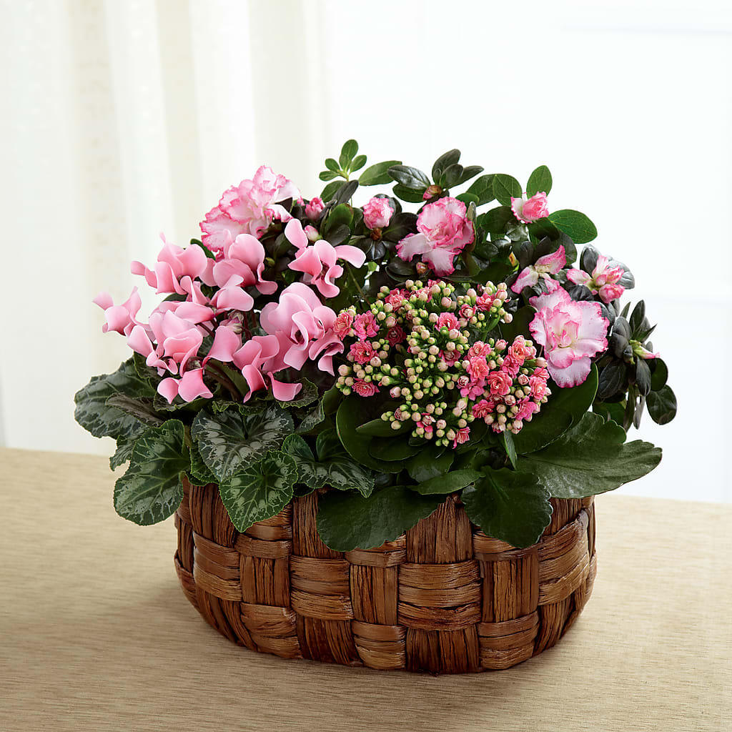 Pink Assortment – The Flower Garden, Nettleton MS