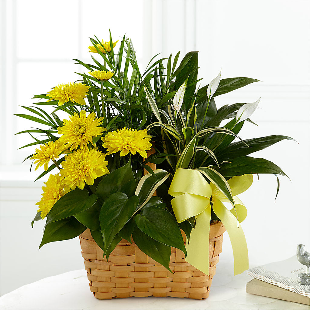 Loving Light Dishgarden – The Flower Garden, Nettleton MS