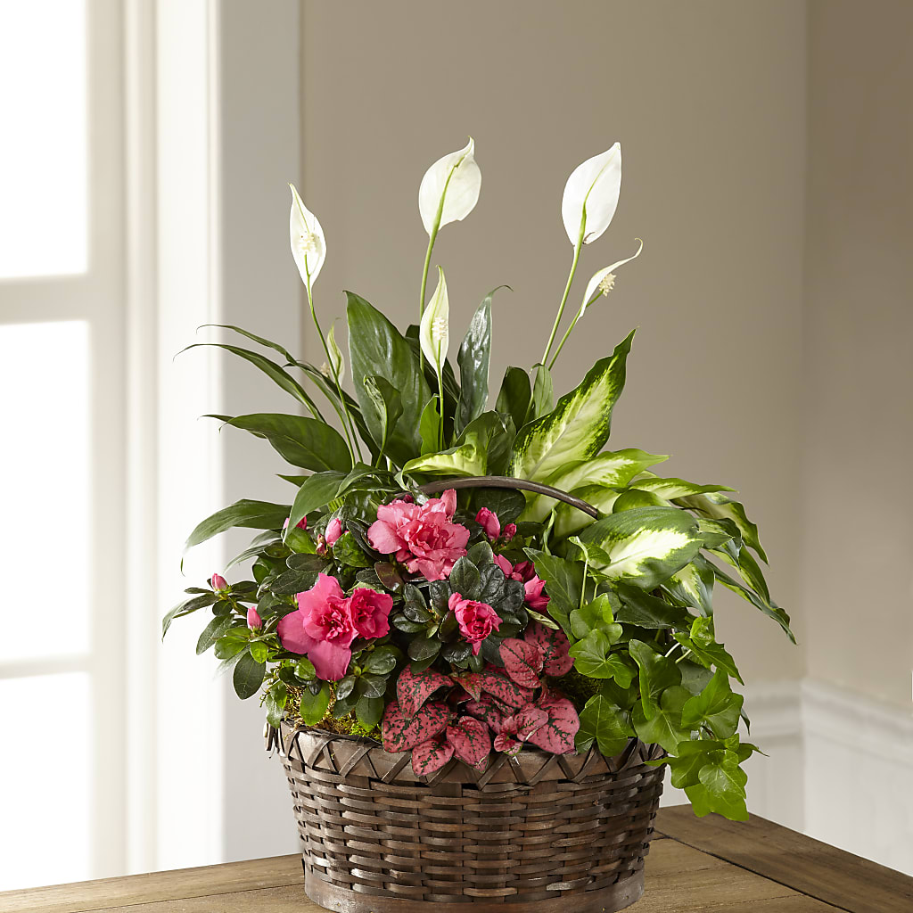 Dream in Pink Dishgarden – The Flower Garden, Nettleton MS