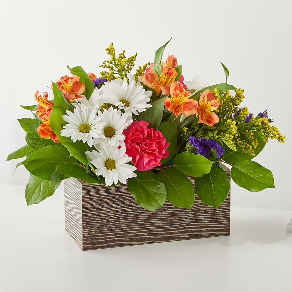 Oopsie Daisy Box Bouquet – The Flower Garden, Nettleton MS