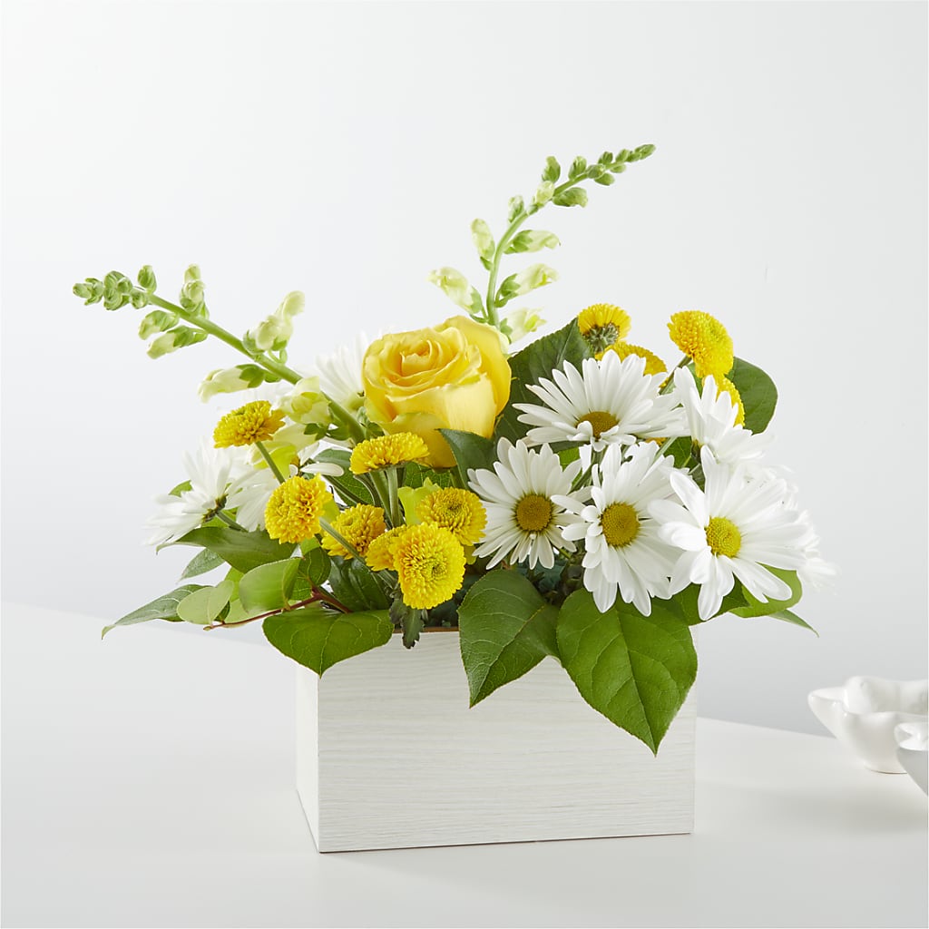 Sun Salutation Box Bouquet – The Flower Garden, Nettleton MS