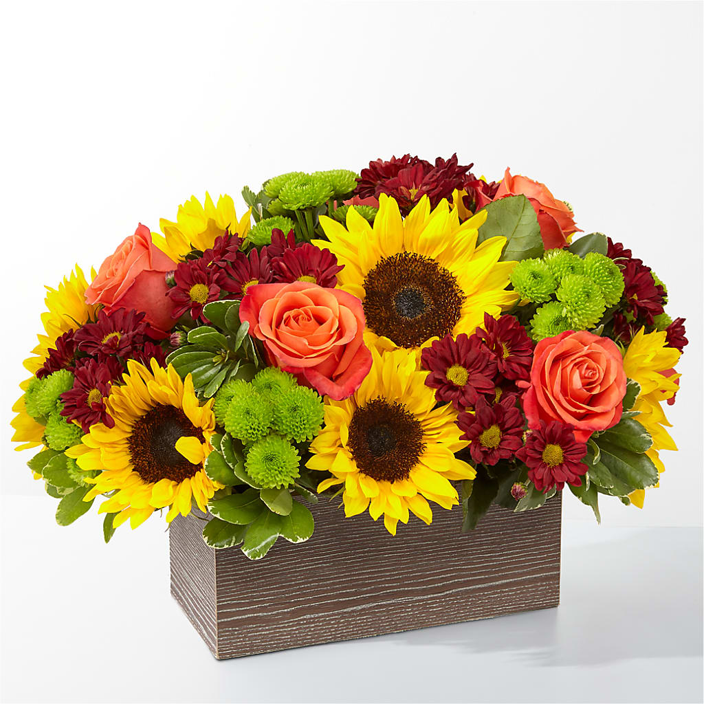 Happy Harvest Garden – The Flower Garden, Nettleton MS