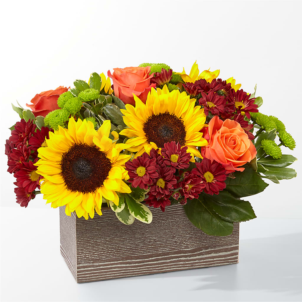 Happy Harvest Garden – The Flower Garden, Nettleton MS
