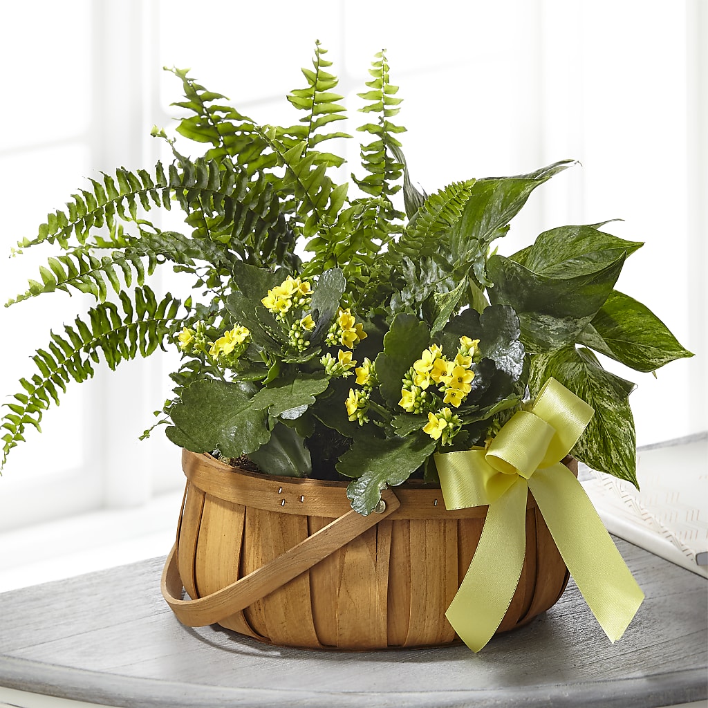 Always Dear Dishgarden – The Flower Garden, Nettleton MS
