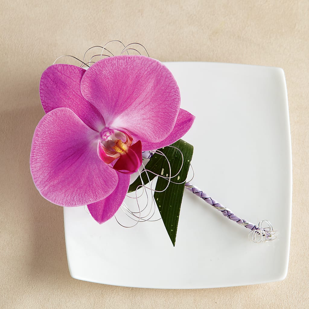 Glorious Boutonniere – The Flower Garden, Nettleton MS