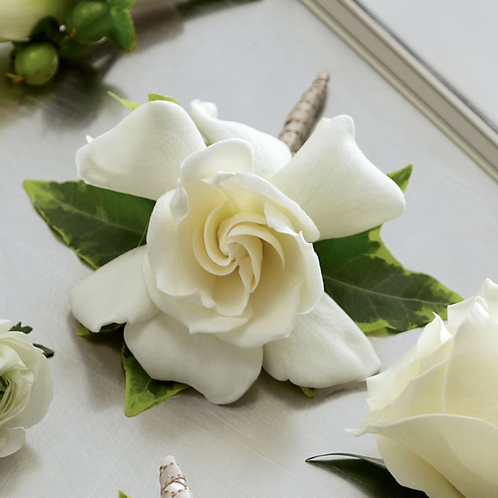 Gardenia Boutonniere – The Flower Garden, Nettleton MS