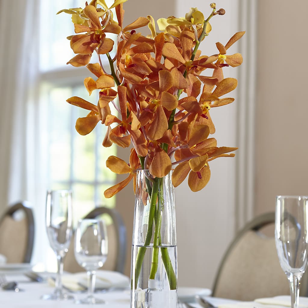Orange Mokara Bud Vase – The Flower Garden, Nettleton MS