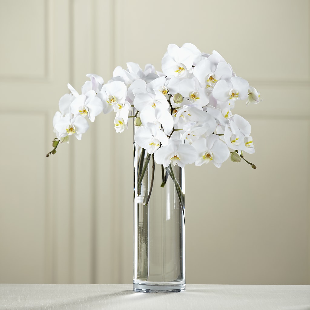 White Phalaenopsis Bouquet – The Flower Garden, Nettleton MS