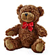 Adorable Plush Bear –  The Flower Garden, Nettleton MS