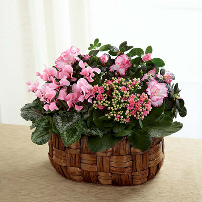 Pink Assortment –  The Flower Garden, Nettleton MS