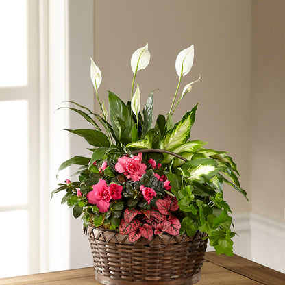 Dream in Pink Dishgarden –  The Flower Garden, Nettleton MS