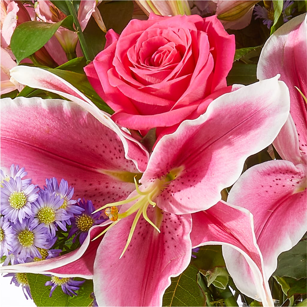 Written in the Stars Bouquet –  The Flower Garden, Nettleton MS