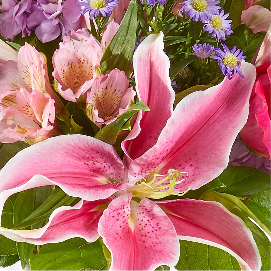 Written in the Stars Bouquet –  The Flower Garden, Nettleton MS