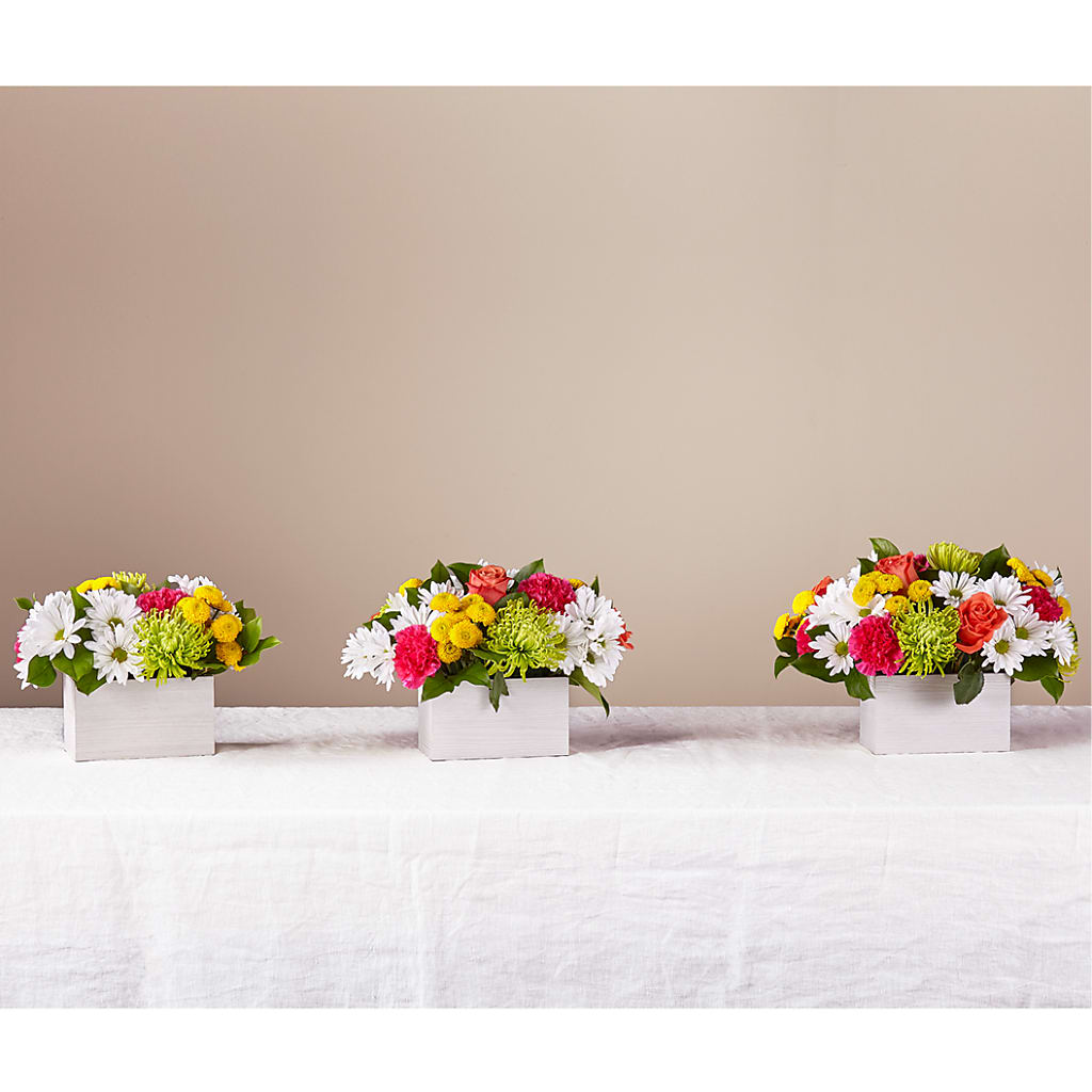 Sorbet Bouquet –  The Flower Garden, Nettleton MS