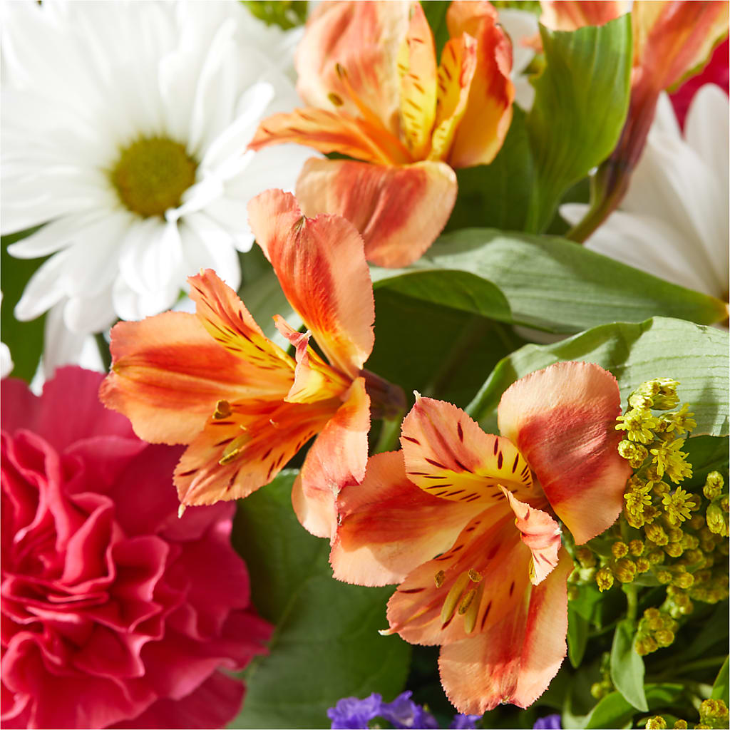 Oopsie Daisy Box Bouquet –  The Flower Garden, Nettleton MS