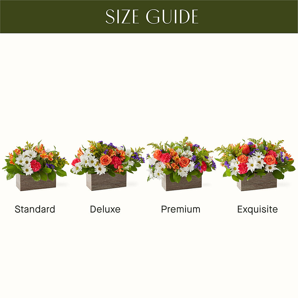 Oopsie Daisy Box Bouquet –  The Flower Garden, Nettleton MS