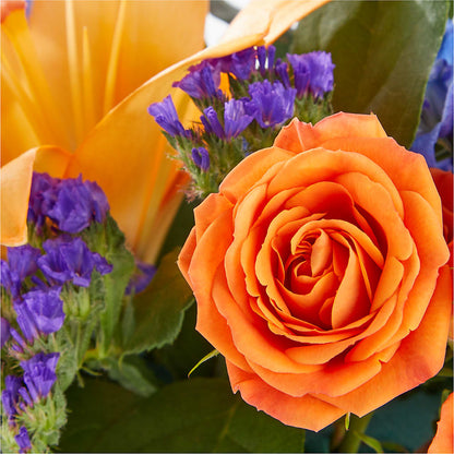 Radiant Citrus Box Bouquet –  The Flower Garden, Nettleton MS