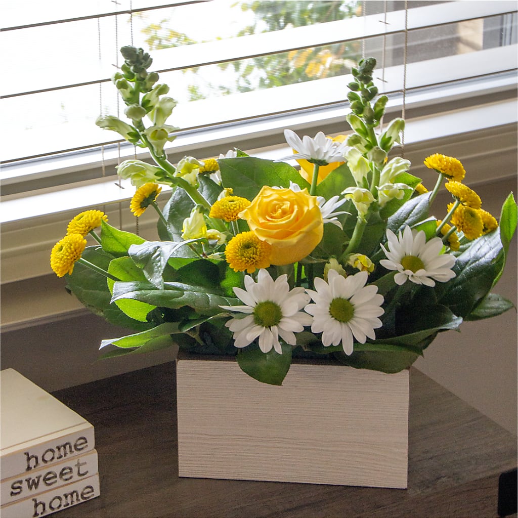 Sun Salutation Box Bouquet –  The Flower Garden, Nettleton MS
