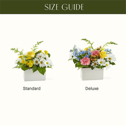 Sun Salutation Box Bouquet –  The Flower Garden, Nettleton MS