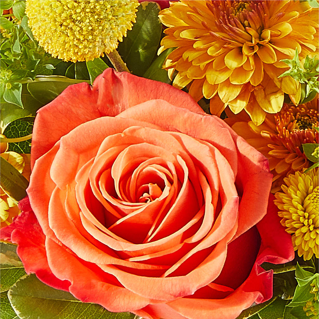 Gourdgeous Pumpkin –  The Flower Garden, Nettleton MS
