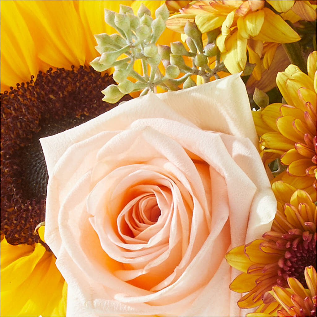Pumpkin to Talk About Bouquet –  The Flower Garden, Nettleton MS