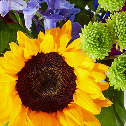 Catching Rays Bouquet –  The Flower Garden, Nettleton MS