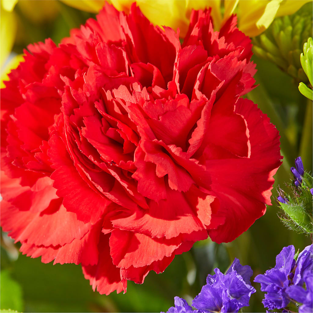 Brighter Days Bouquet –  The Flower Garden, Nettleton MS