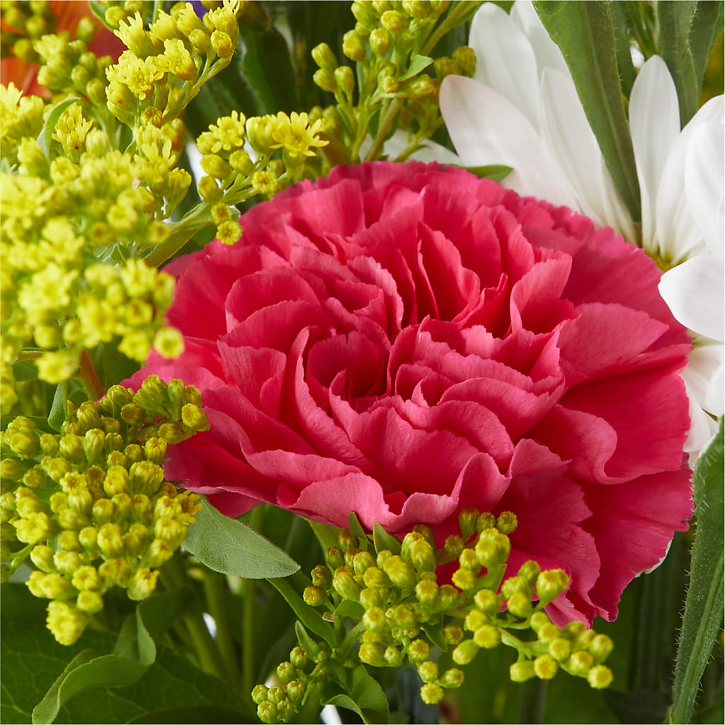 Oopsie Daisy Bouquet –  The Flower Garden, Nettleton MS