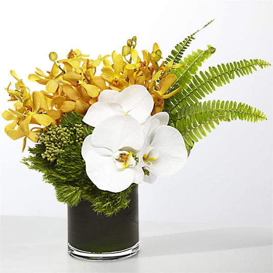 The Tropics –  The Flower Garden, Nettleton MS