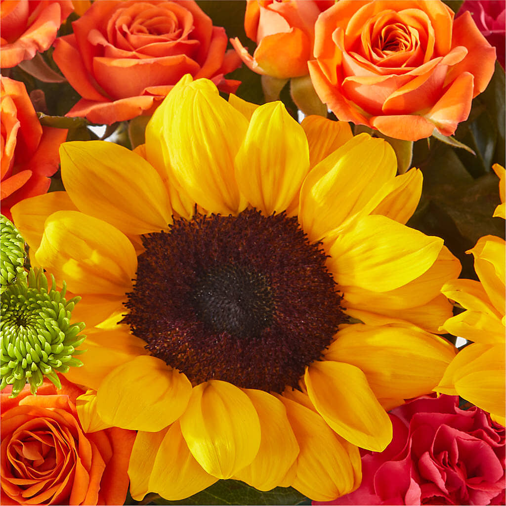 Sun-drenched Blooms Box Bouquet –  The Flower Garden, Nettleton MS