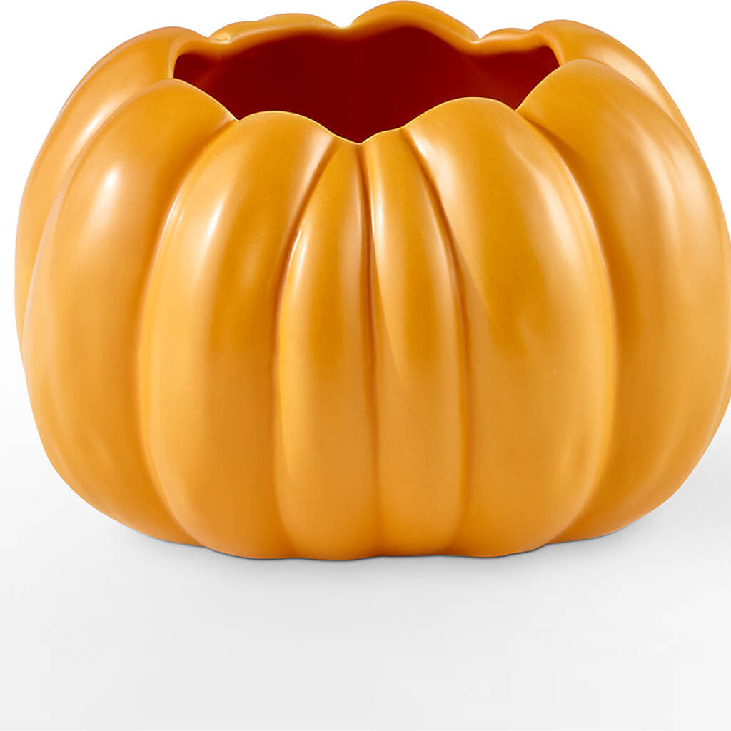 Pick of the Patch Pumpkin Bouquet –  The Flower Garden, Nettleton MS