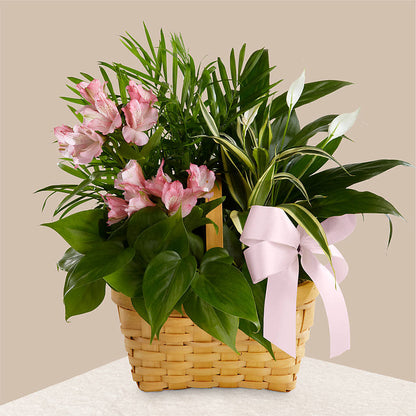 Living Spirit Dishgarden –  The Flower Garden, Nettleton MS