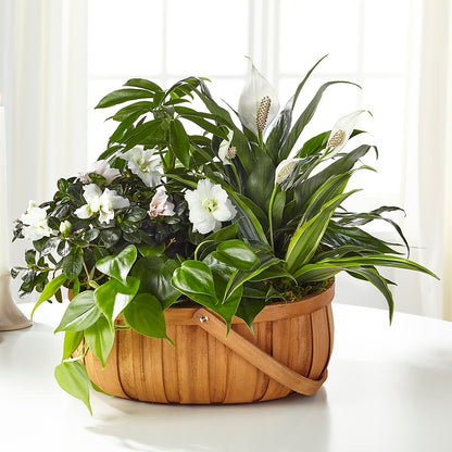 Serene Dishgarden –  The Flower Garden, Nettleton MS
