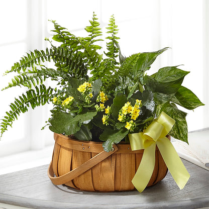 Always Dear Dishgarden –  The Flower Garden, Nettleton MS