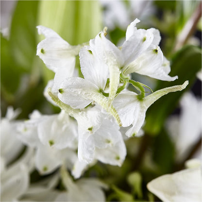 Classic Ivory – A Florist Original –  The Flower Garden, Nettleton MS