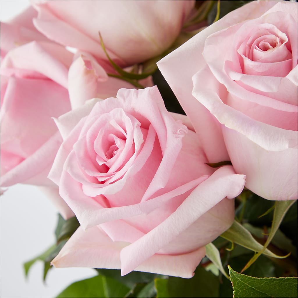 Picture Perfect Pink Rose Bouquet –  The Flower Garden, Nettleton MS