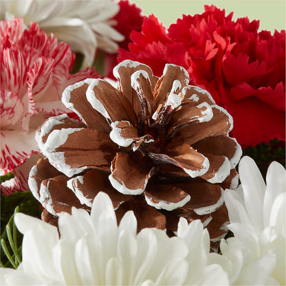 Candy Cane Lane Bouquet –  The Flower Garden, Nettleton MS