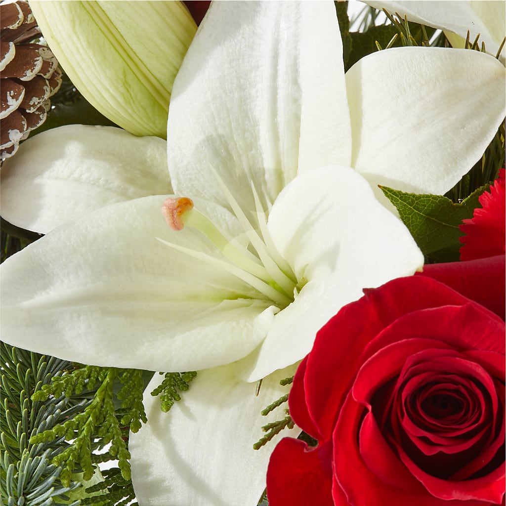 Oh So Jolly Bouquet –  The Flower Garden, Nettleton MS