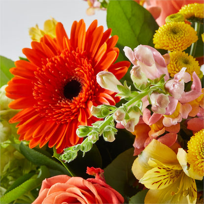 Autumn Sunshine Bouquet –  The Flower Garden, Nettleton MS