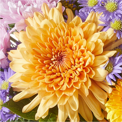 Countryside Bouquet –  The Flower Garden, Nettleton MS
