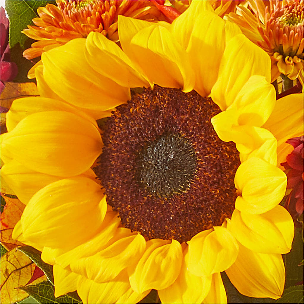 Sunny Side Bouquet –  The Flower Garden, Nettleton MS