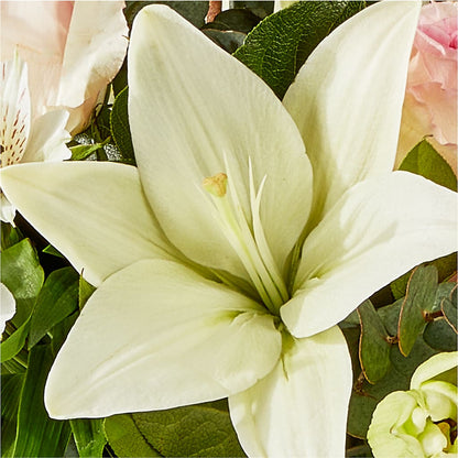 Ballet Slippers Bouquet –  The Flower Garden, Nettleton MS
