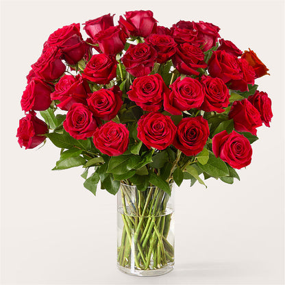 The One Red Rose Bouquet –  The Flower Garden, Nettleton MS