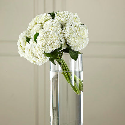 White Hydrangea Hand-Tied Bouquet –  The Flower Garden, Nettleton MS