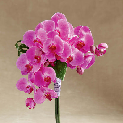 Glorious Bouquet –  The Flower Garden, Nettleton MS